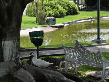 place photo 43
