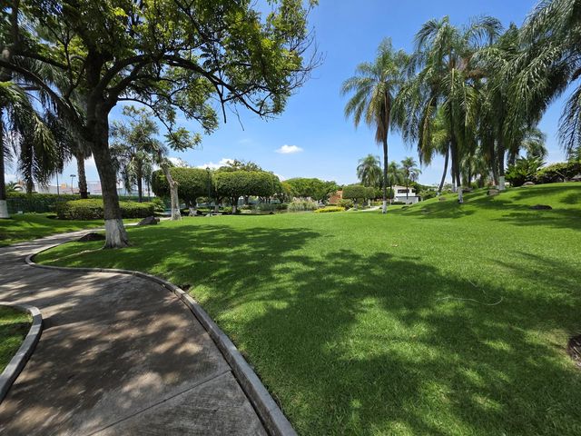 place photo 44
