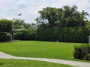 place photo 45