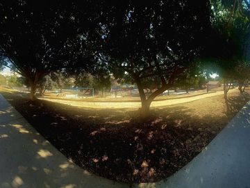 place photo 31