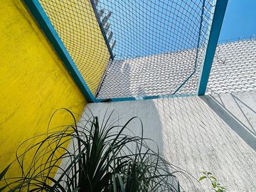 place photo 26