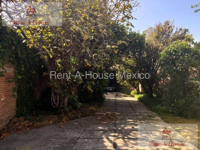 place photo 31
