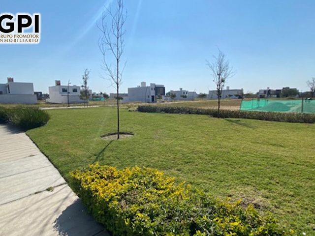 place photo 35