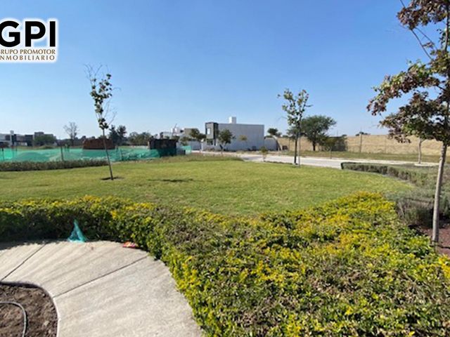 place photo 32