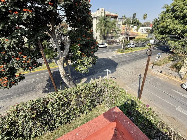 place photo 44