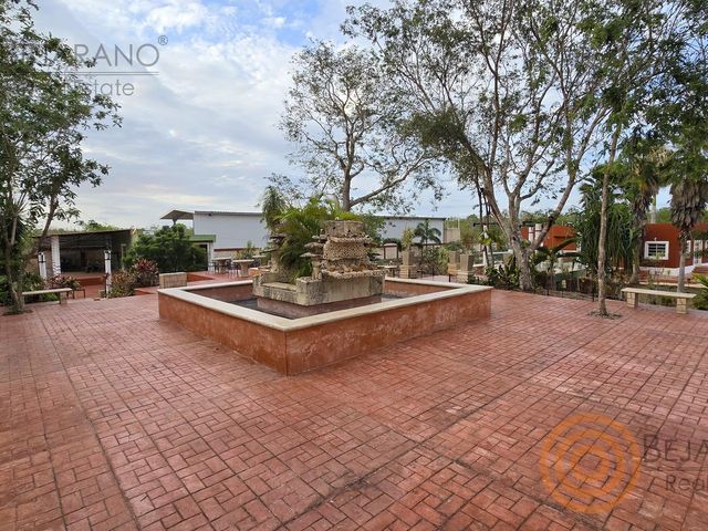 place photo 43
