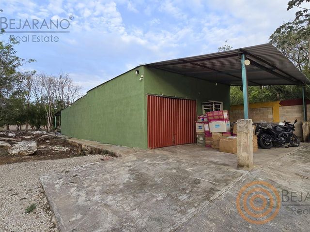 place photo 52