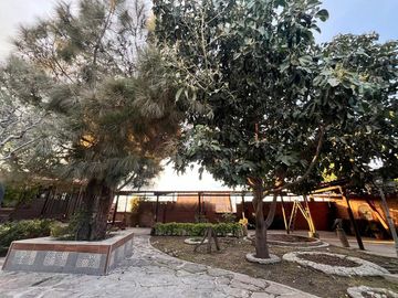 place photo 41