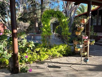 place photo 38