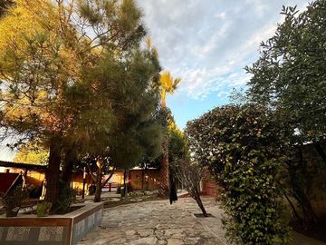 place photo 46