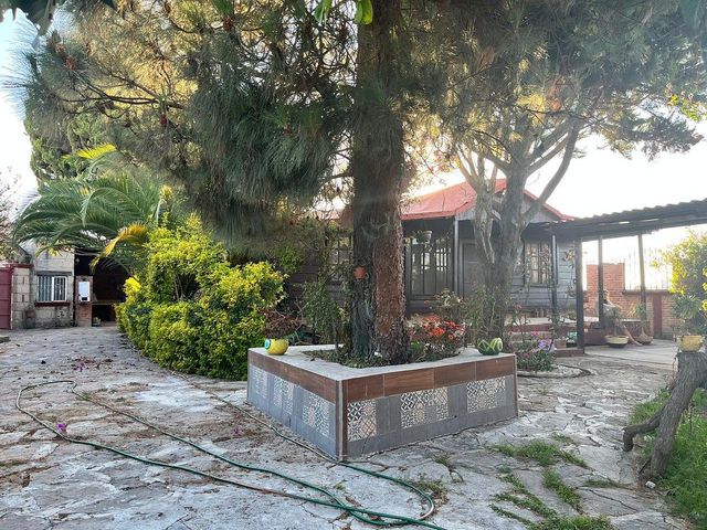 place photo 39