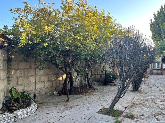 place photo 45