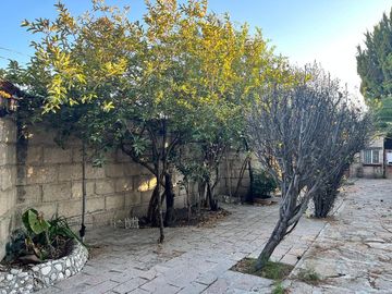 place photo 45