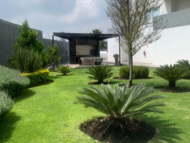 place photo 38