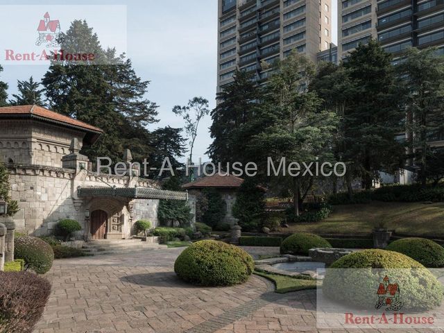 place photo 63