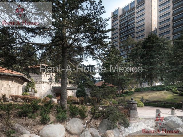 place photo 64