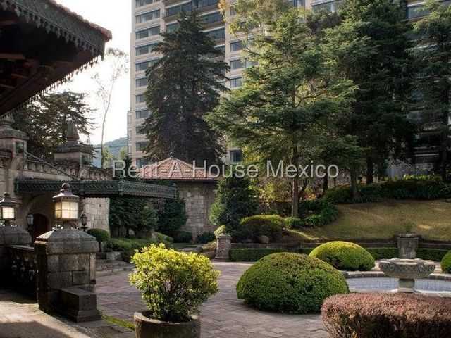 place photo 46