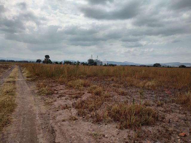 place photo 21