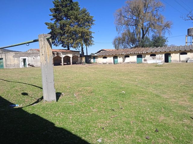 place photo 14