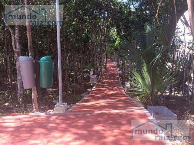 place photo 13
