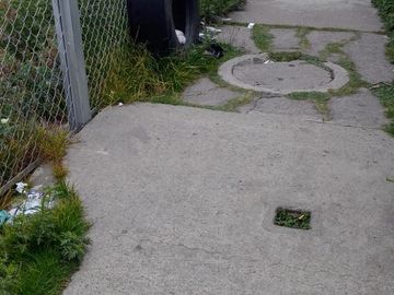 place photo 12