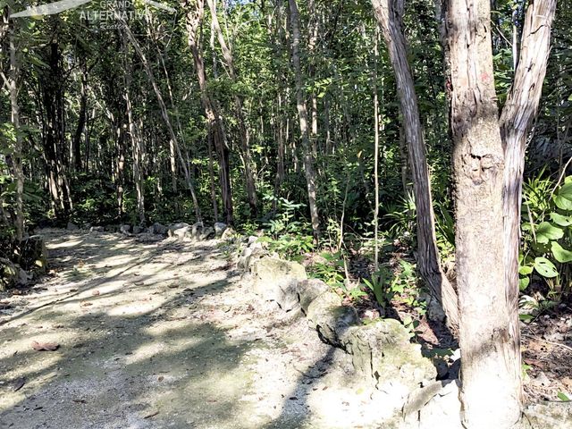 place photo 30