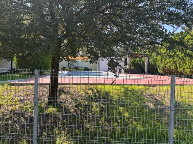 place photo 45