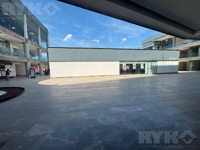 place photo 19
