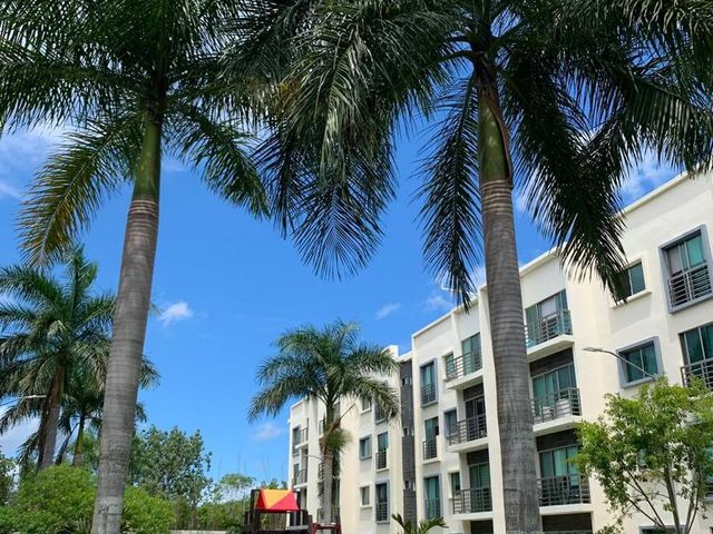 place photo 34