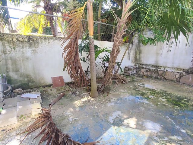 place photo 28