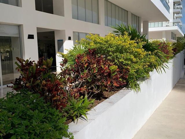 place photo 27