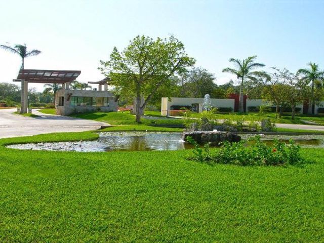 place photo 41