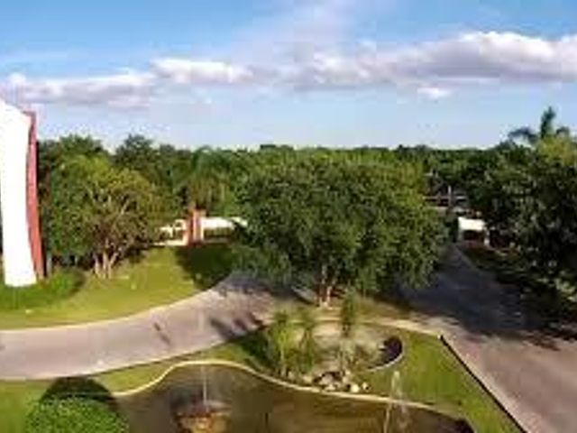 place photo 40