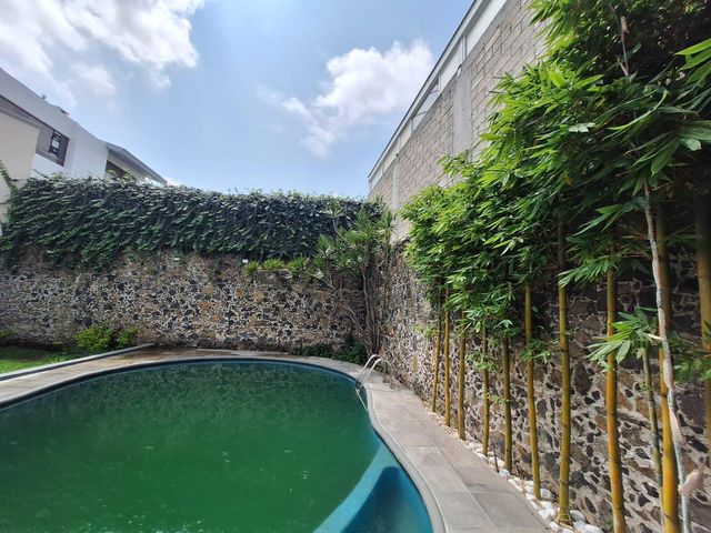 place photo 38
