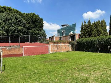 place photo 19