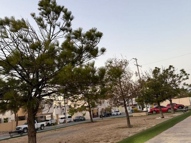 place photo 40