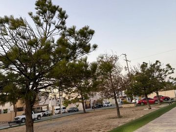 place photo 40