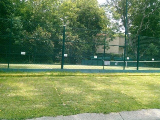 place photo 14