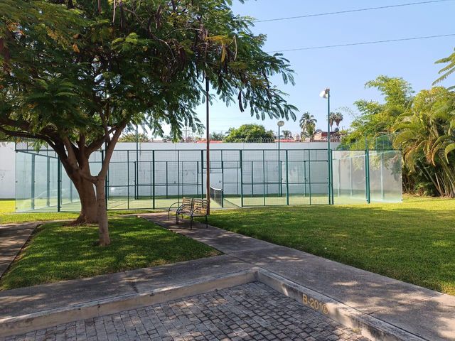 place photo 24