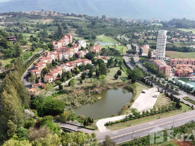 place photo 16