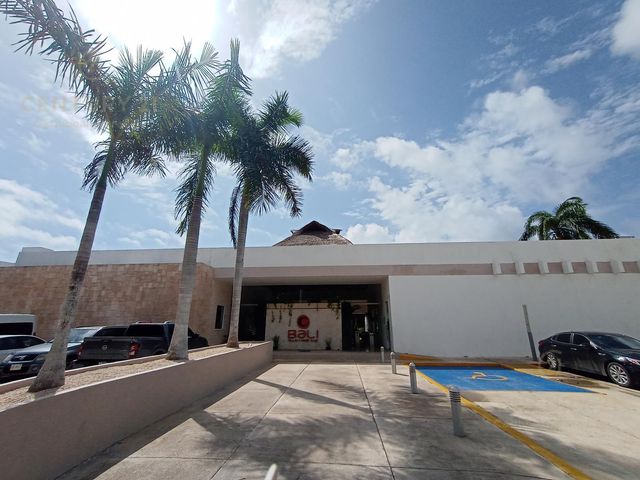 place photo 23