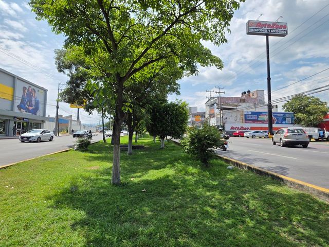 place photo 31