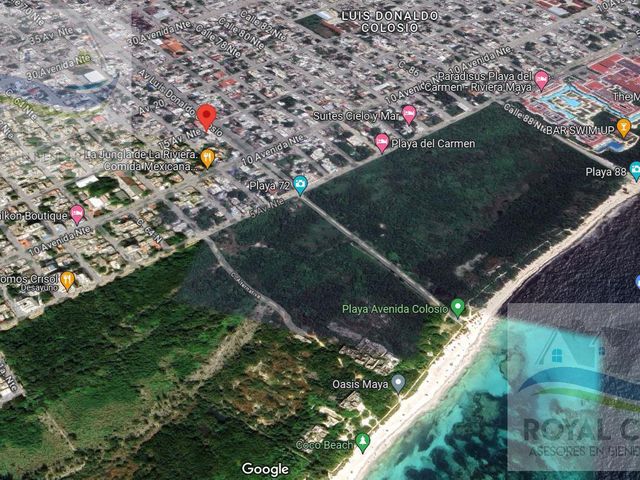 place photo 10