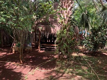 place photo 67