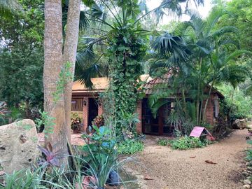place photo 68