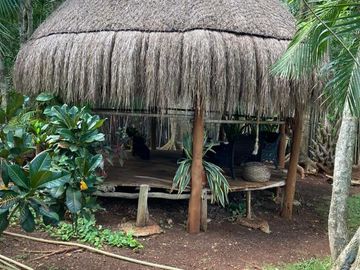 place photo 71