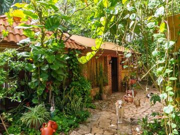 place photo 39