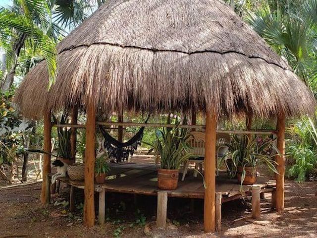 place photo 33