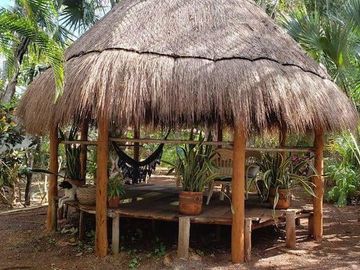 place photo 33