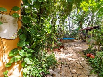 place photo 41